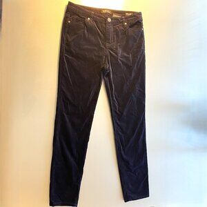 Buffalo David Bitton Mid-Rise Velvet Stretch Skinny Size 8 29 Length Pants New!